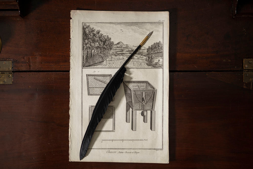 regency pen quill