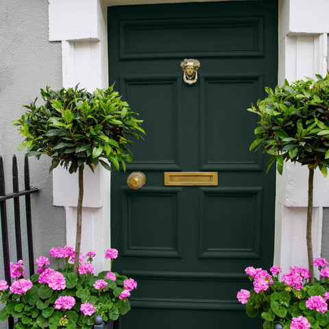 Front door painted in Colourtrend Curragh Green from the Weather collection