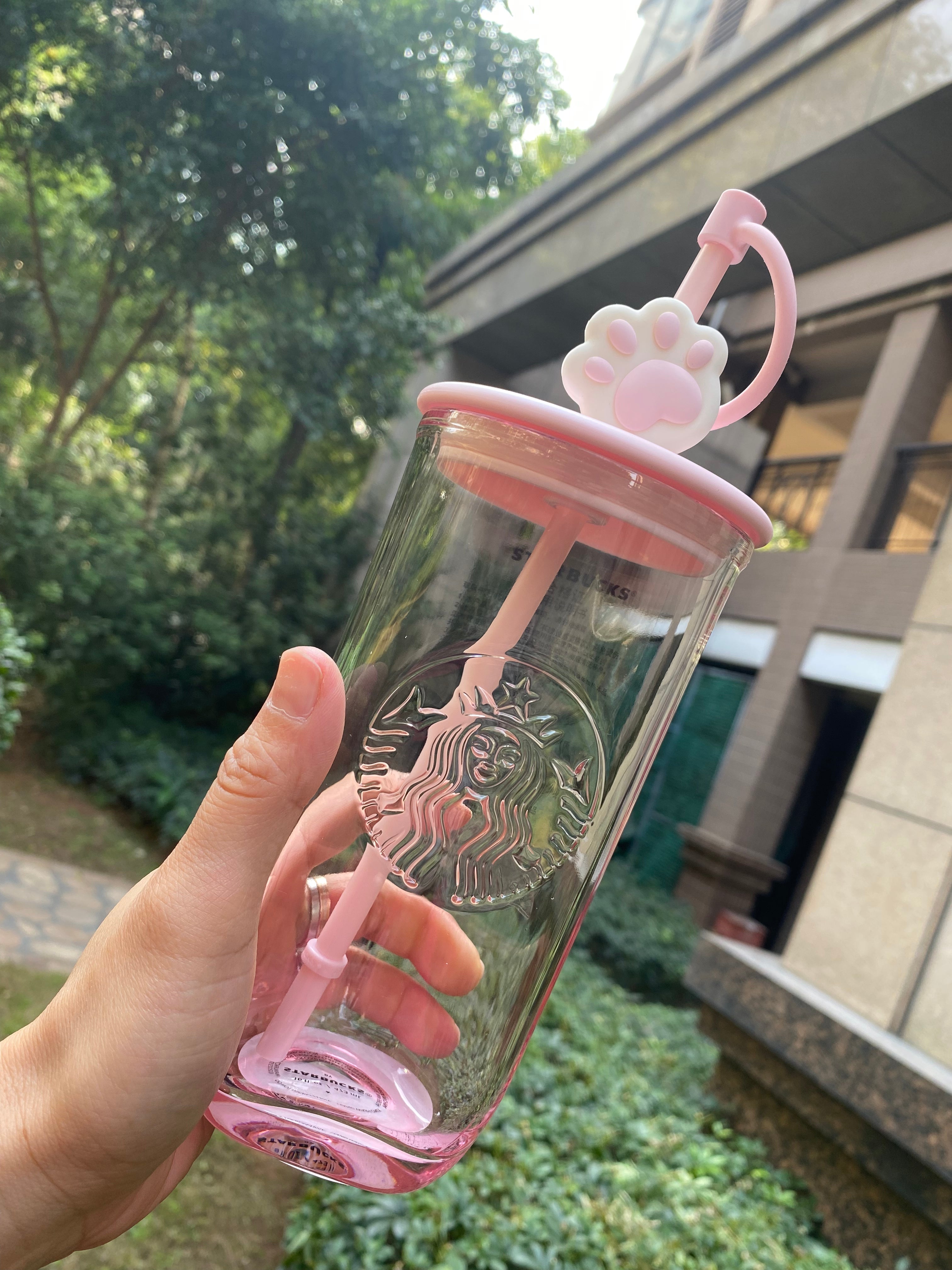 Starbucks Cup Pink Sakura Cute Cat Glass Straw Liminted Edition