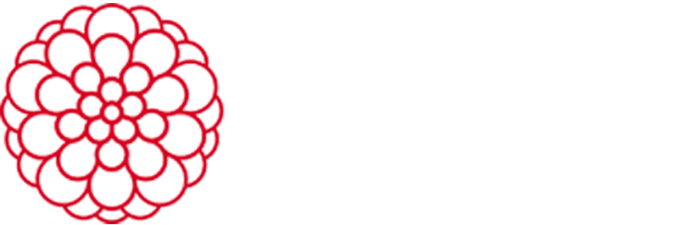Pompon Amsterdam