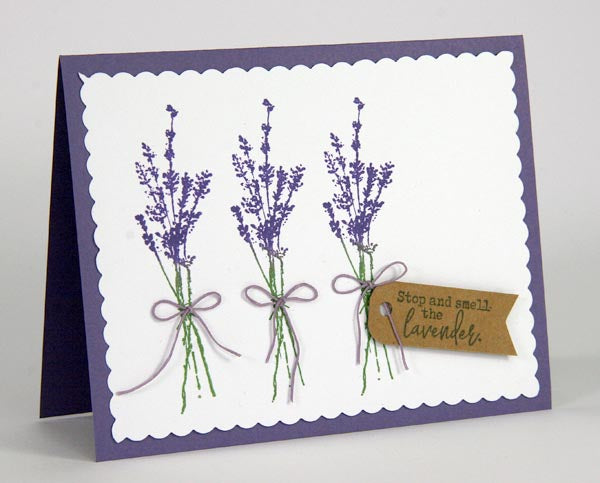 Greeting Card Created With Club Scrap's Lavender Fields Stamps #clubscrap #lavenderfields #stamping