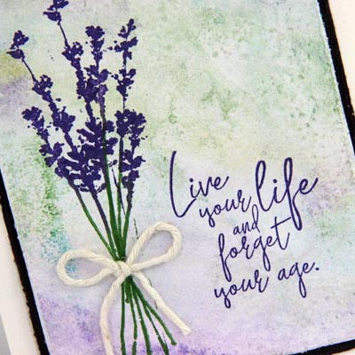 Greeting Card Created With Club Scrap's Lavender Fields stamps #clubscrap #lavenderfields #stamping