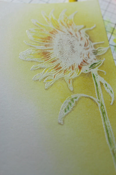 Sunflower Stamp embossed resist with colored pencils #embossing #clubscrap #sunflower #technique #cardmaking