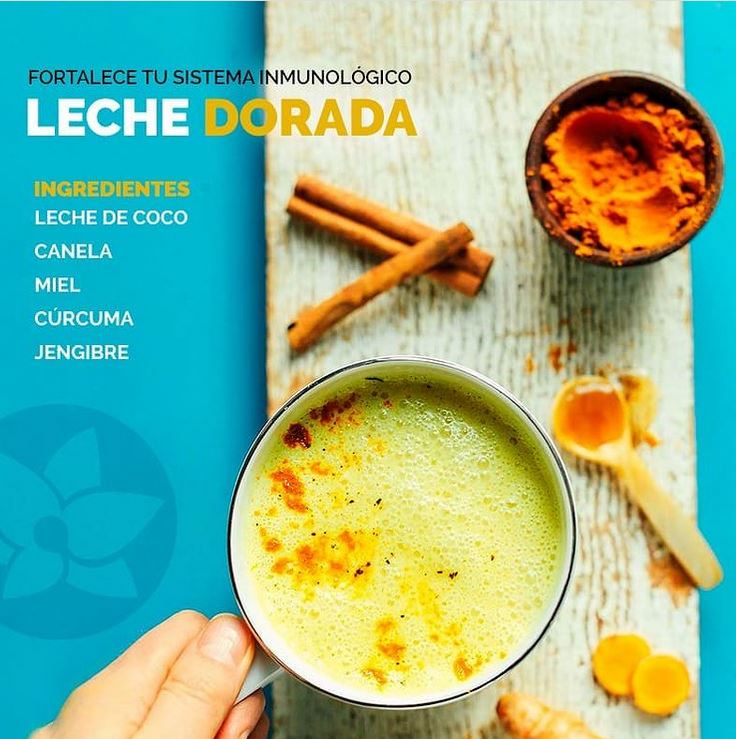 Fortalece tu sistema inmune con leche dorada (RECETA) – Planta Maestra