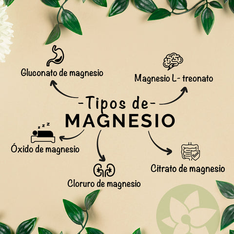 Gato de salto bordado Experto Conoce los beneficios de 5 tipos de suplementos de magnesio – Planta Maestra