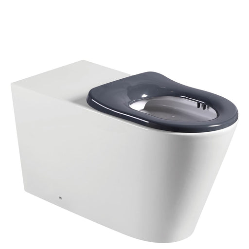 Fienza Isabella Back To Wall Toilet Suite — Ideal Bathroom Centre