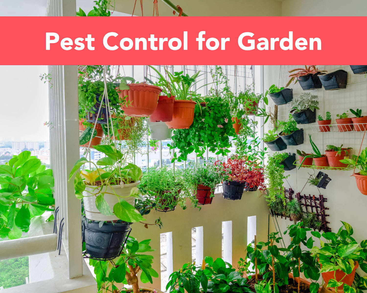 Pest Control for Garden Singapore