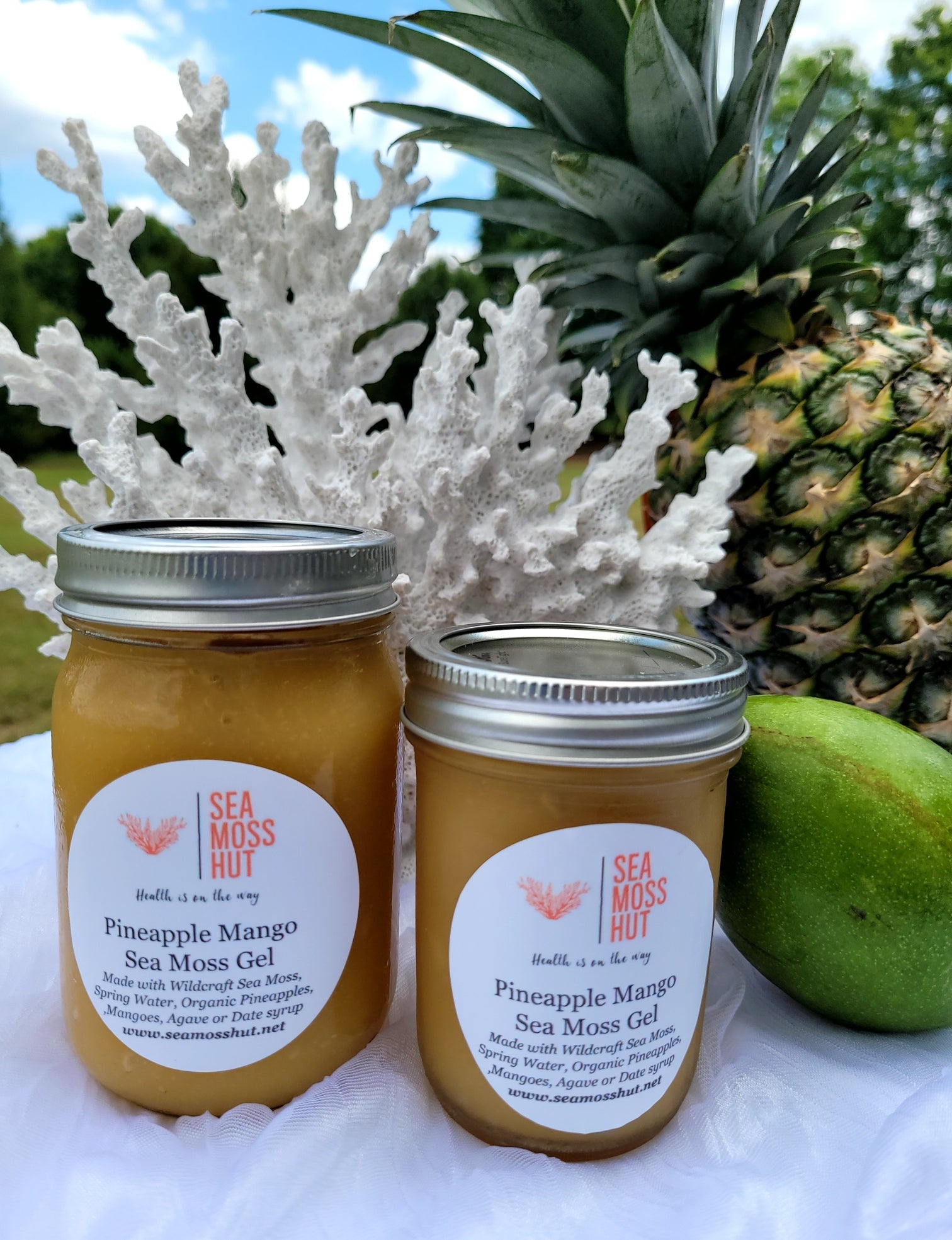 Pineapple Sea Moss Gel Recipe - Find Vegetarian Recipes