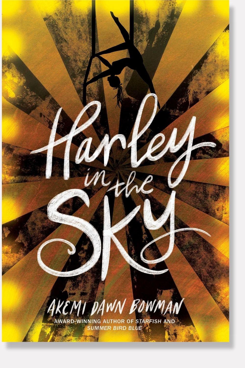 Harley in the Sky book cover