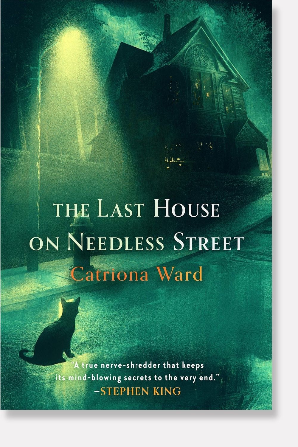 The Last House on Needless Street book cover