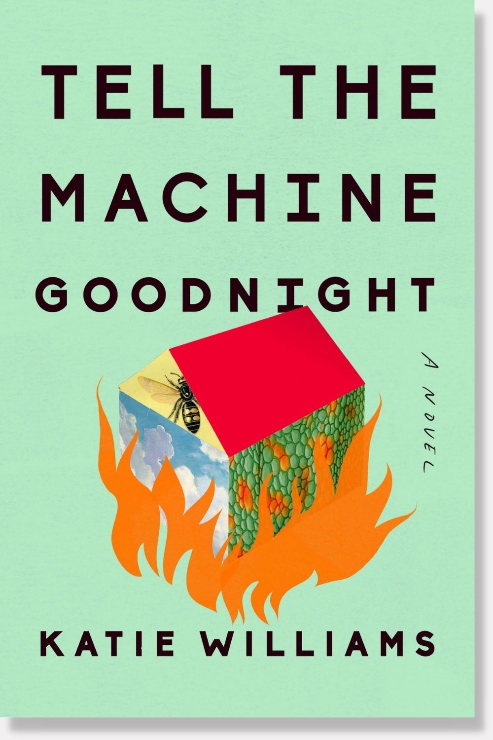 Tell the Machine Goodnight by Katie Williams - book cover