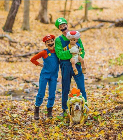 Super Mario Brothers Costume Idea - Group Costume