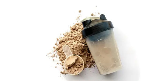 Understanding Whey Protein