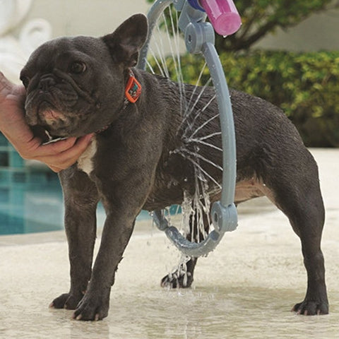 petit chien qui se fait laver avec un anneau de lavage pour chien