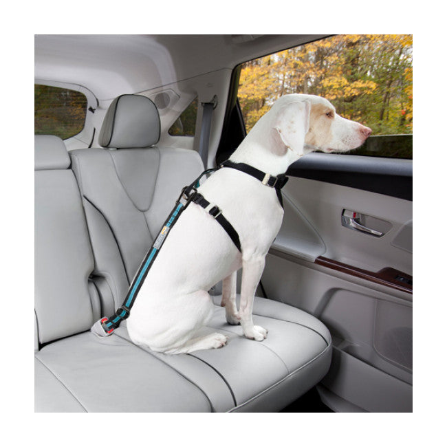 Laisse de sécurité pour chien - ceinture sécurité voiture - CANISLANA