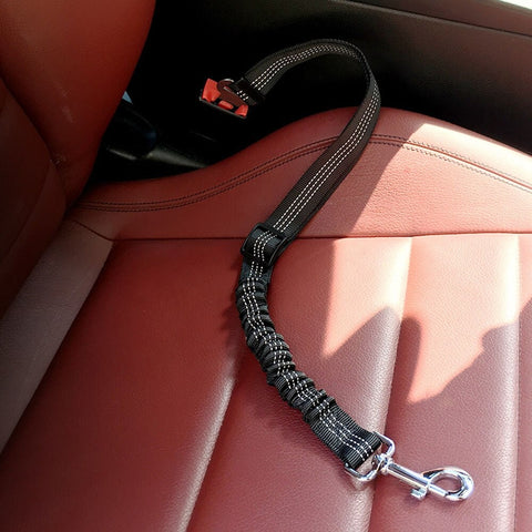 Ceinture De Scurit Pour Chien Voiture Avec Absorption Des Chocs Durable  Rglable Elastique Fils Rflchissants Et Mousqueton Solide Pour Tous Les  Chiens