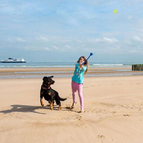 fille qui joue avec son chien sur la plage avec un lance balle