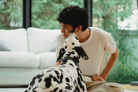 maitre assis dans sa maison qui se fait lécher par un chien a poil blanc et noir