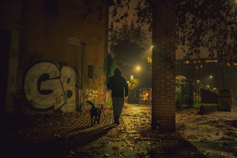 maitre qui se promene avec son chien en pleine nuit