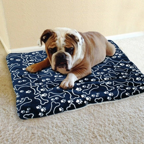 tapis pour chien