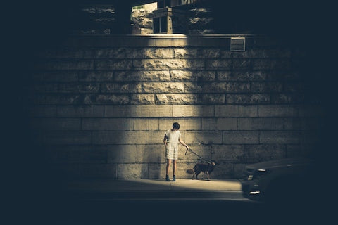 chien qui marche la nuit avec son maitre dans la rue