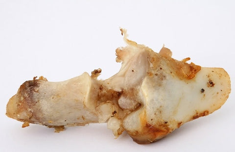 Image d'un os pour chien avec quelque bout de viande