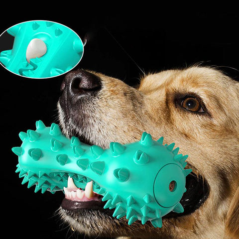 jouet à mâcher avec dentifrice pour chien