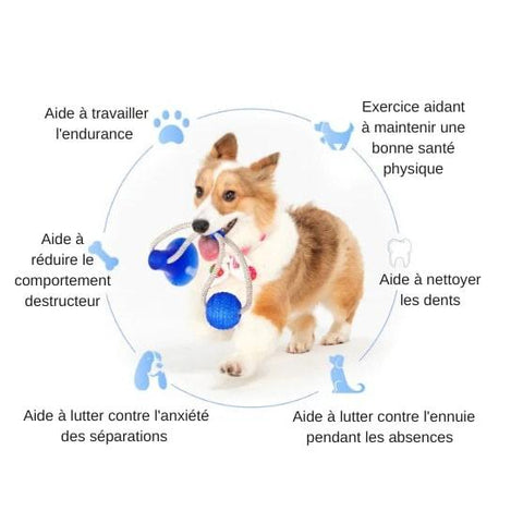 Balle de tennis géante de 24 cm pour chien – Stock de cadeaux