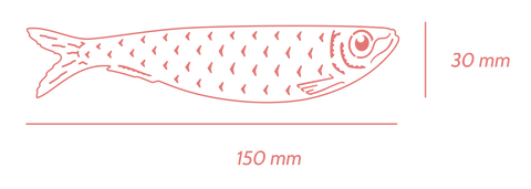 Outline of Sardine Bookmark showing dimentions