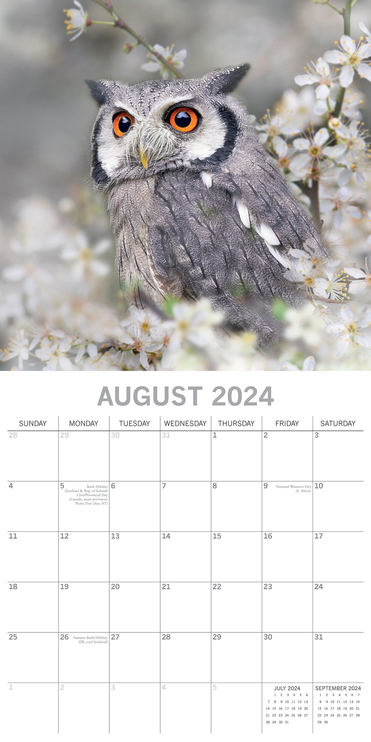 2024 Owls Square Wall Calendar Animals & Wildlife Calendars by The