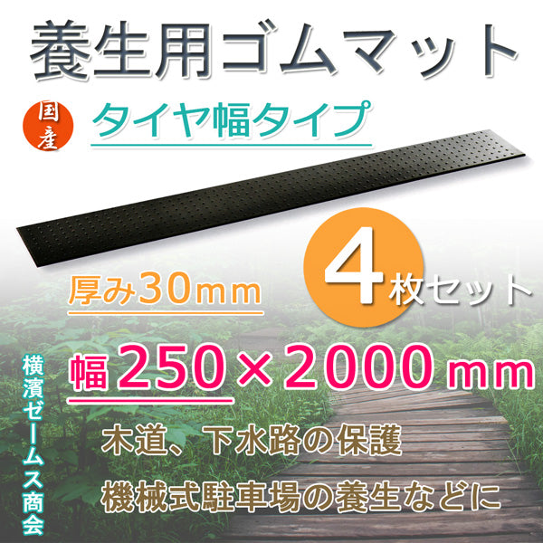 気質アップ】 オートドライデシケーターFNツイン 1152×524×1770mm 強化プラスチック棚板