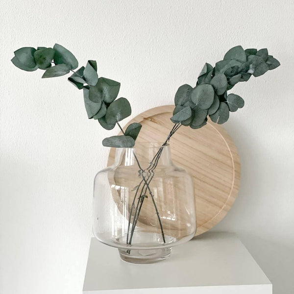 Glas Vase mit Eukalyptus
