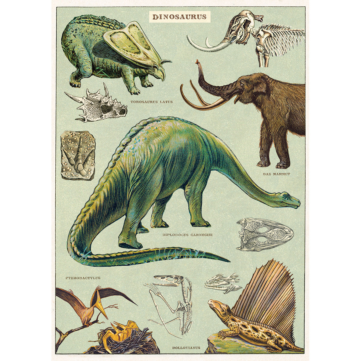 Gift Wrap Dinosaurs – Dinosaurs Galore