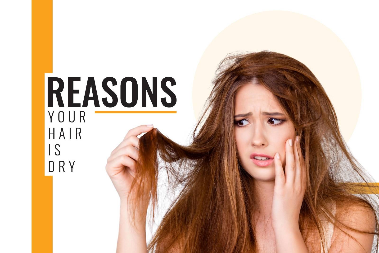 5 Reasons Why Your Hair is Dry  Bay Catering