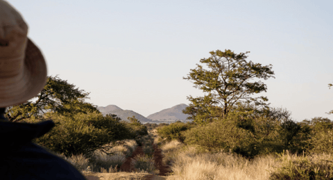 PICHULIK | Top 5 Safaris South Africa