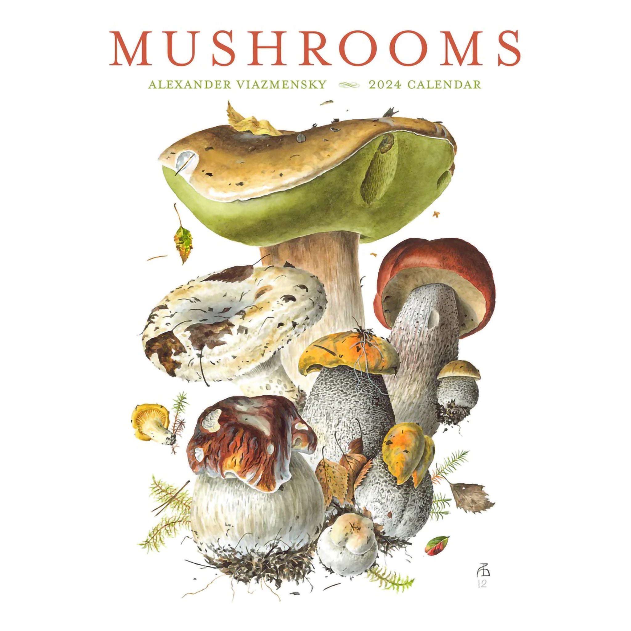 WALL CALENDAR 2024 MUSHROOM Hull's Art Supply & Framing