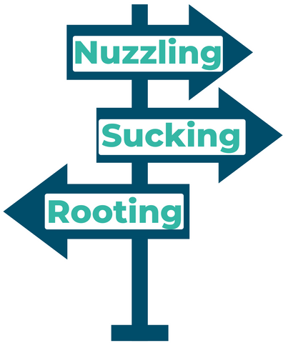 Signpost nuzzling sucking rooting