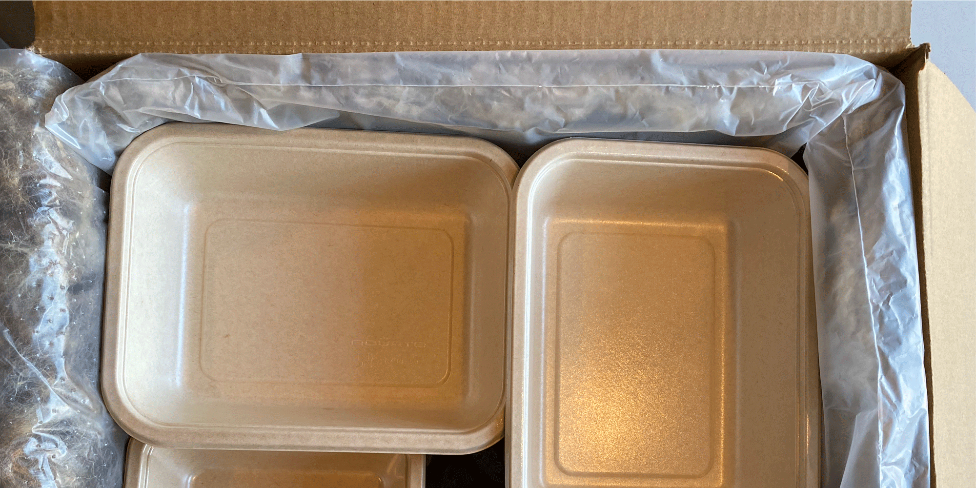 Temp controlled packaging