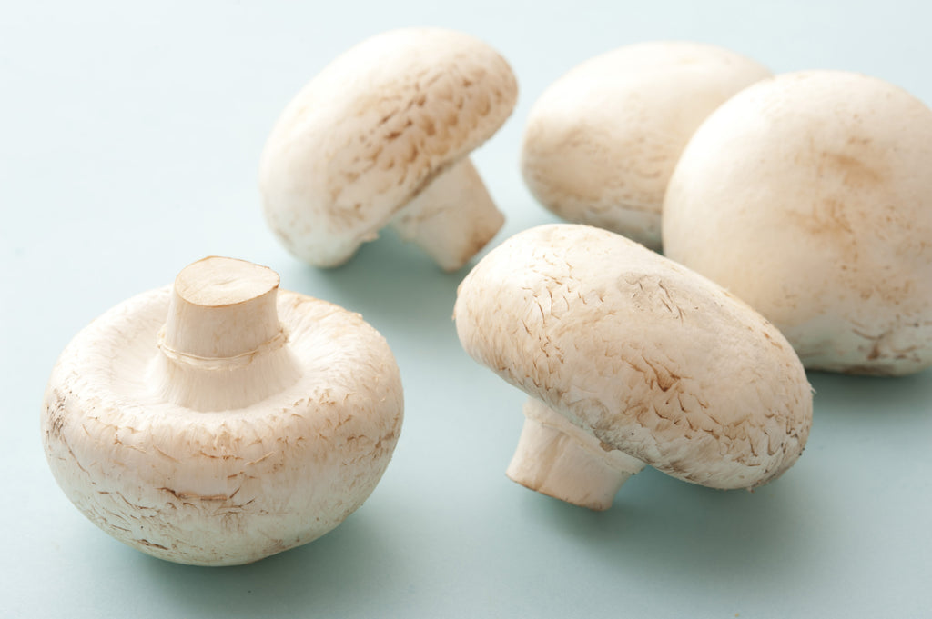 Button Mushrooms