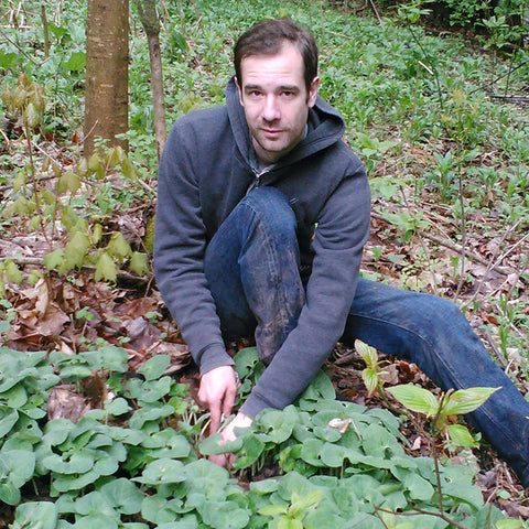 Dyson Forbes harvesting Forbes Wild Foods