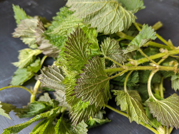 Nettles