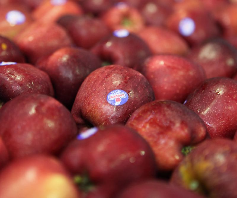 Pommes rouges de Zagora