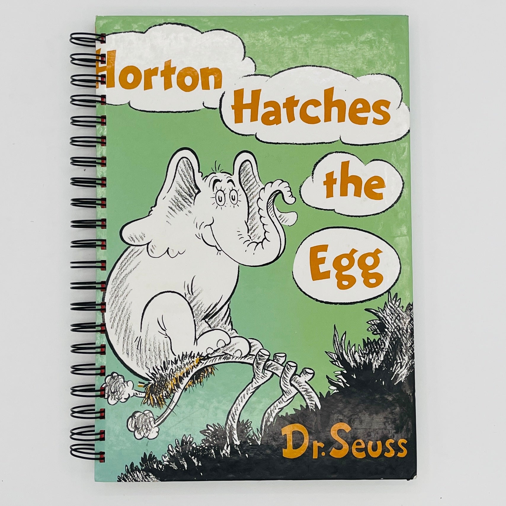 Horton Hatches the Egg