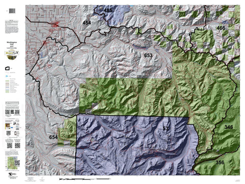 mount rainier topographic map