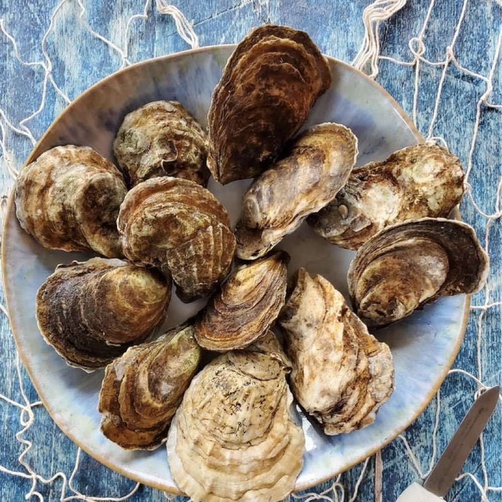 Freshly harvested oysters at Blue Fish Seafood & Oyster House.