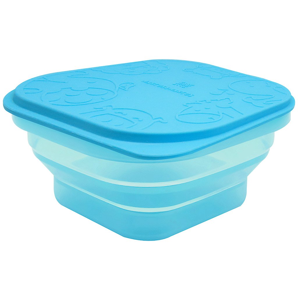 Collapsible Sandwich Wedge Container