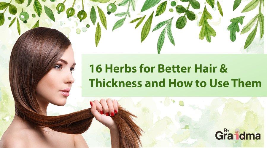 Six Ayurvedic Herbs for Hair Growth  SHAZ  KIKS