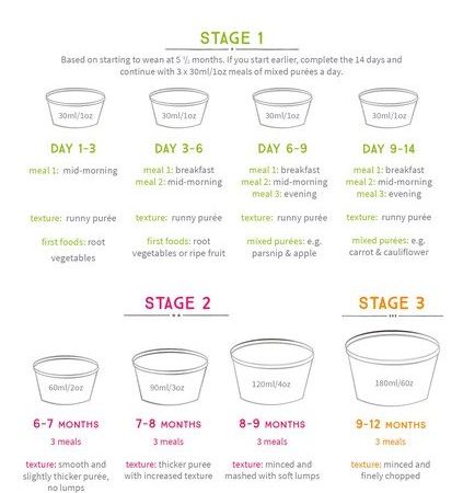 6 Month Baby Food Chart For Indian Baby Bygrandma