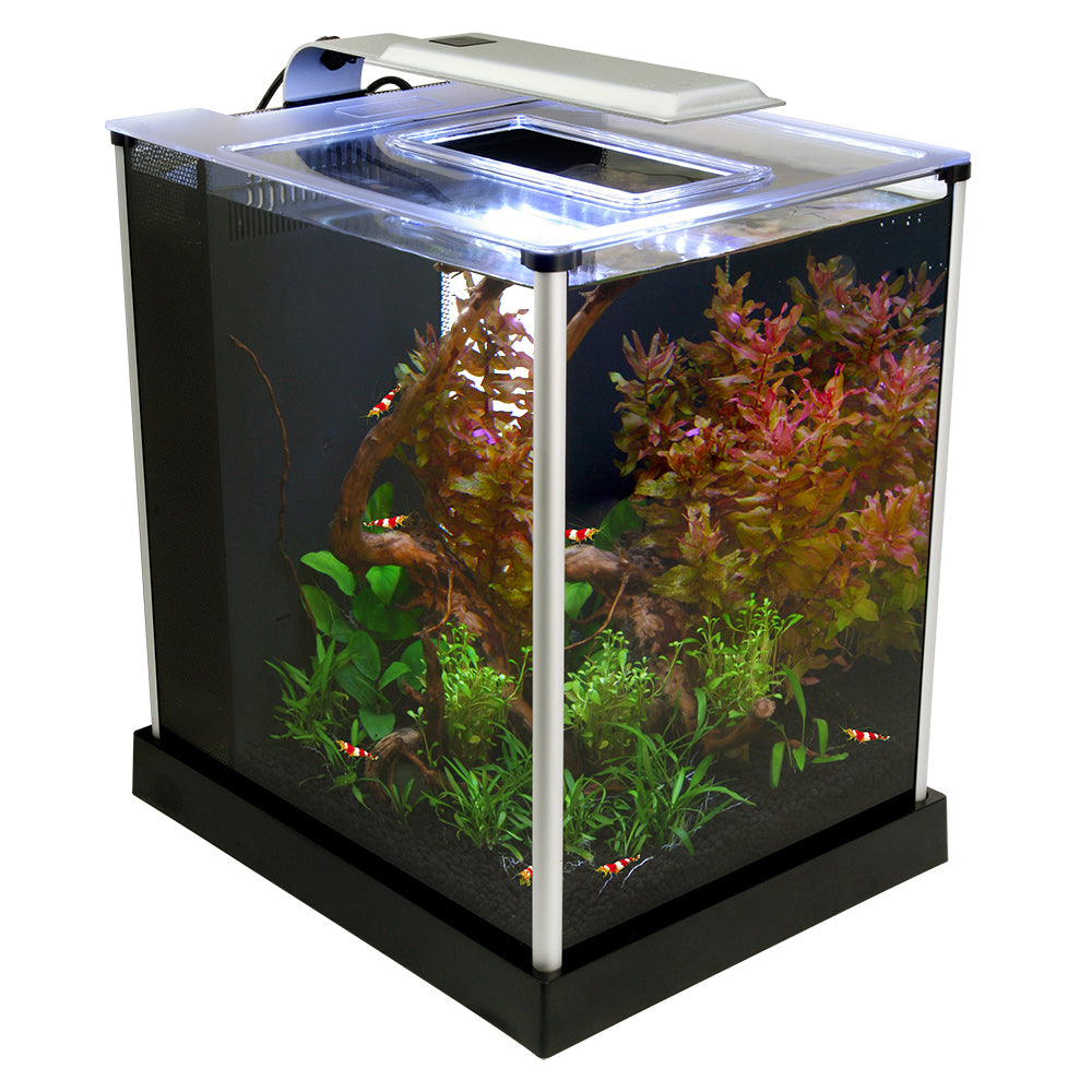 Fluval EBI Shrimp 2.6 Gallon Kit – Pet Paradise - Harvard