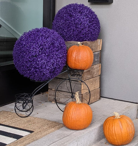 Purple eucalyptus lawn decor with pumpkins on the front step of a house